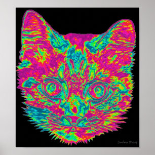 Psykedelisk katt Poster