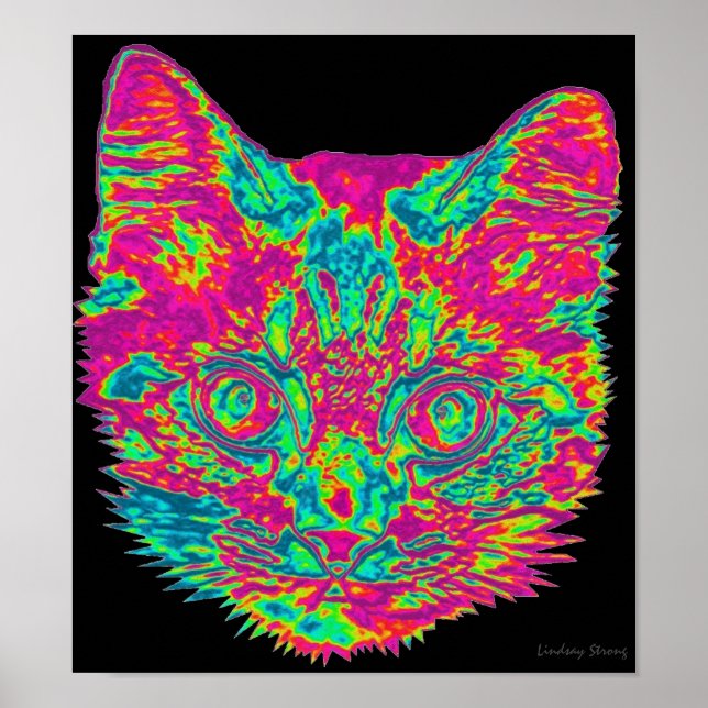 Psykedelisk katt Poster (Framsidan)