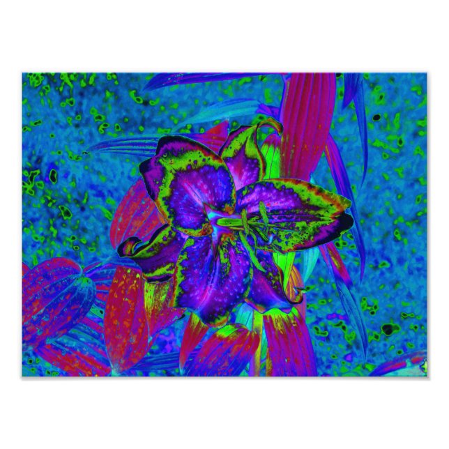 Psykedelisk Lila och Lime Green Lily Flower Fototryck (Framsidan)