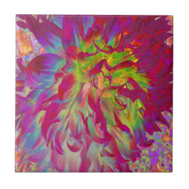 Psykedelisk Magenta och Gult Dahlia Flower Kakelplatta