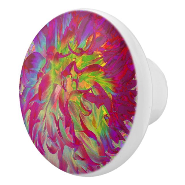 Psykedelisk Magenta och Gult Dahlia Flower Knopp (Höger)