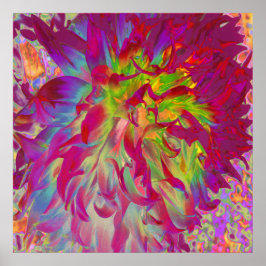 Psykedelisk Magenta och Gult Dahlia Flower Poster