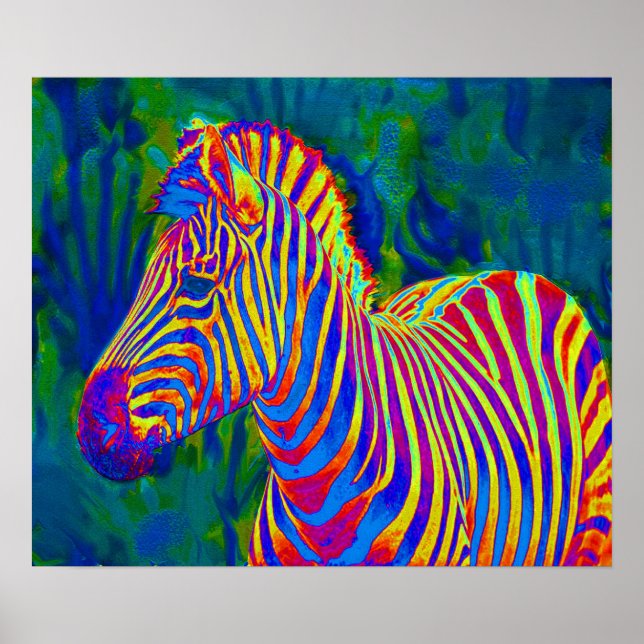 psykedelisk zebra poster (Framsidan)