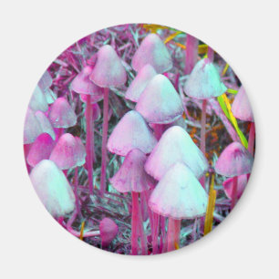 Psykedeliska Svampar Magnet