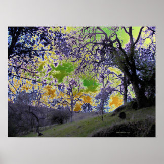 Psykisk grönt och gult himlar poster