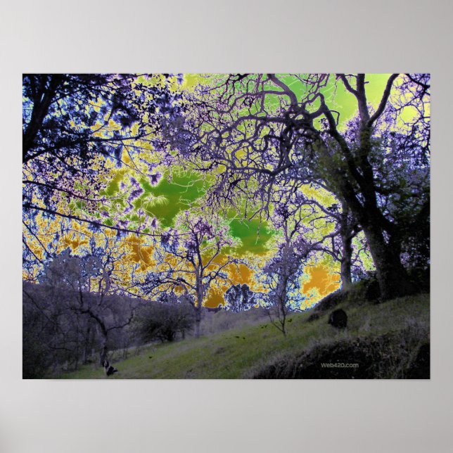 Psykisk grönt och gult himlar poster (Framsidan)