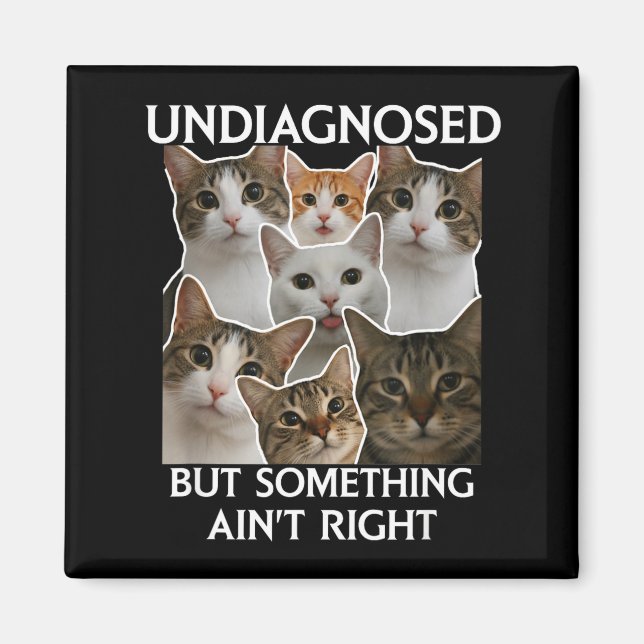 Psykisk hälsa rolig odiagnostiserad men något är i magnet (Framsidan)