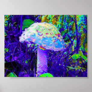 psykodelisk svamp poster