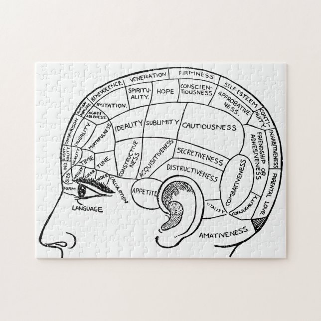 Psykologi vintage phrenology psychiatry hjärnan pussel (Horisontell)