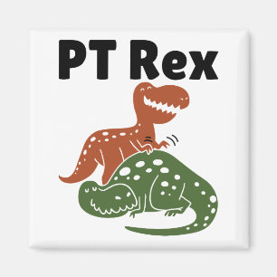 PT Rex Fysisk terapibehandling Magnet