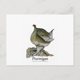 Ptarmigan bird, tony fernandes vykort