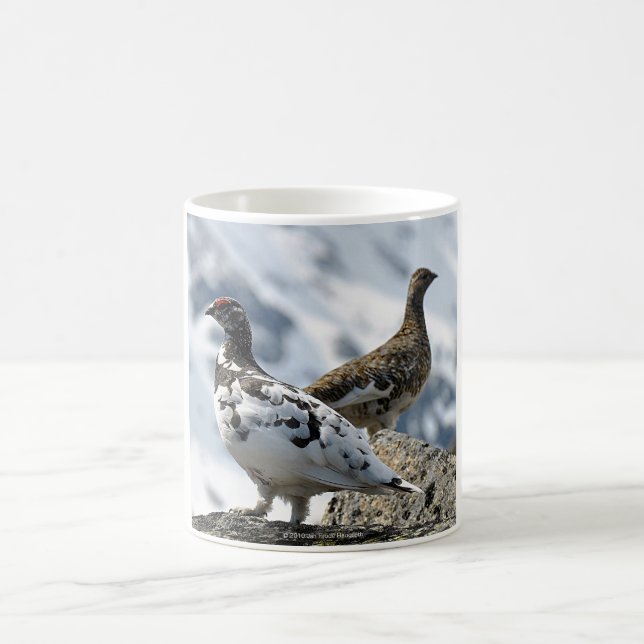 Ptarmigan Kaffemugg (Center)