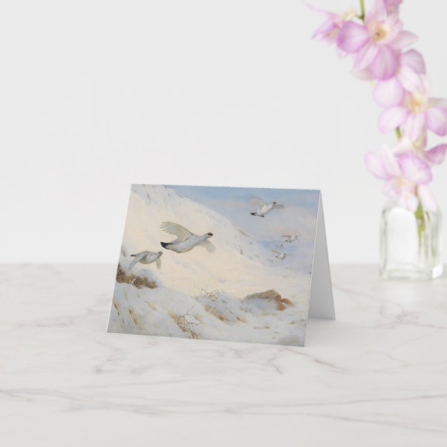 Ptarmigan under vintern, som flyger över snö kort (Orkide)