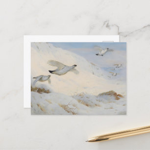 Ptarmigan under vintern, som flyger över snö vykort