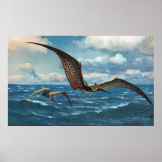Pteranodon Antique-utskrift Poster