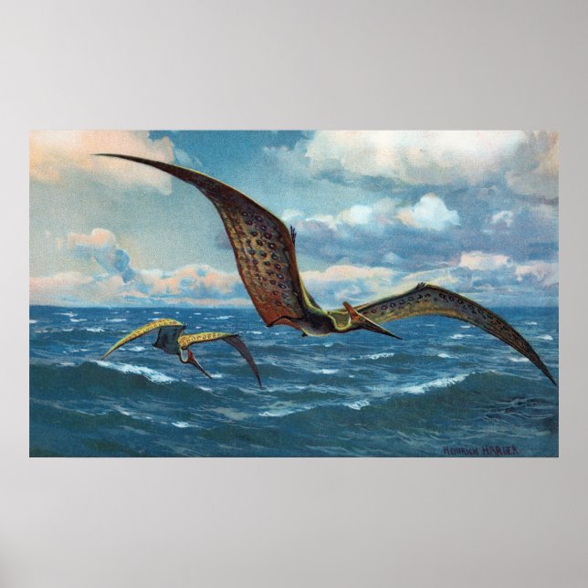 Pteranodon Antique-utskrift Poster (Framsidan)