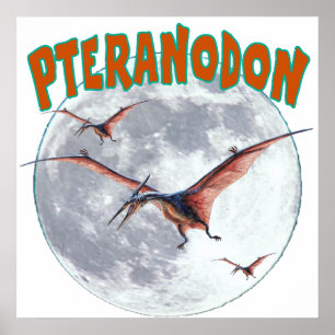 Pteranodon dinosauaur poster