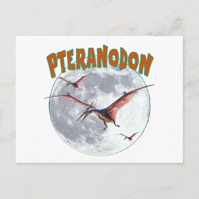 Pteranodon dinosauaur vykort (Framsida)