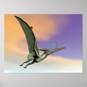 Pteranodon dinosauer fly - 3D-rendering Poster