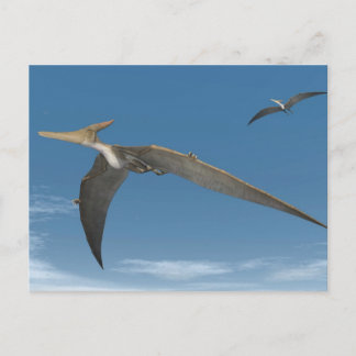 Pteranodon dinosaurs fly - 3D-rendering Vykort