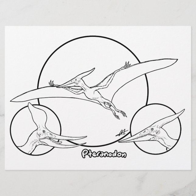 Pteranodon - färgsida. (Framsida)