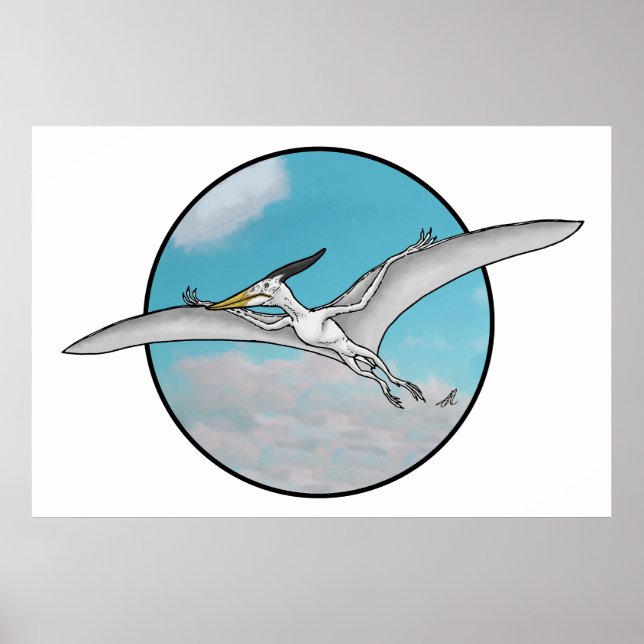 Pteranodon Poster (Framsidan)