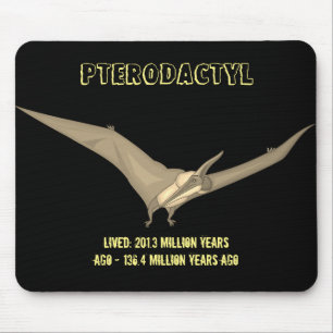 Pterodactyl Dinosaur Musmatta
