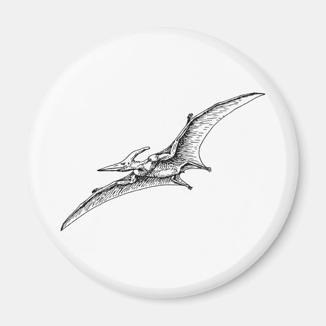 Pterodactyl Magnet (Framsidan)