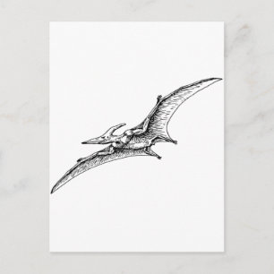 Pterodactyl Vykort