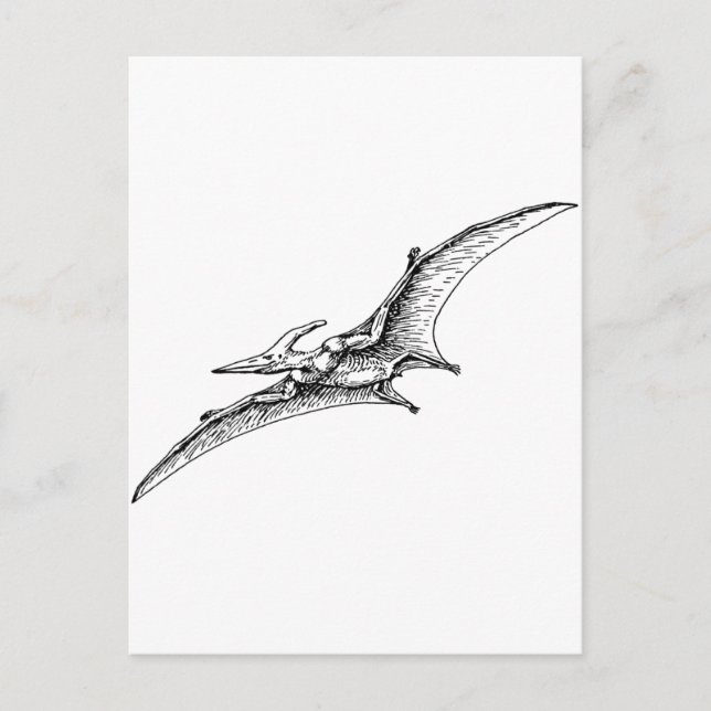 Pterodactyl Vykort (Framsida)