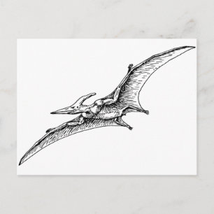 Pterodactyl Vykort