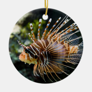PteroisAntennata Broadbarred Firefish Lionfish Julgransprydnad Keramik