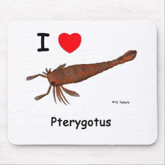 Pterygotus Musmatta