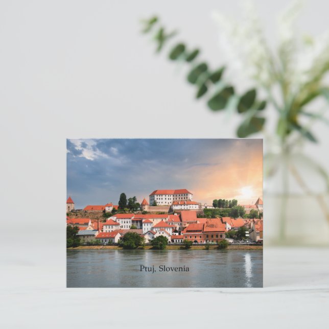 Ptuj, Sloveniens cityscape-foto Vykort (Stående Fram)