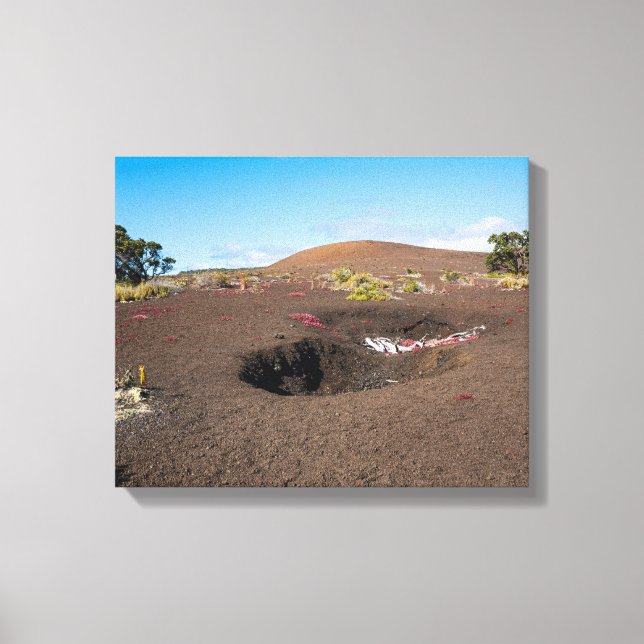 pu pua’i cinder cone on ledge trail canvastryck (Framsida)