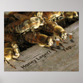Pub Bees_honey Lager? Poster