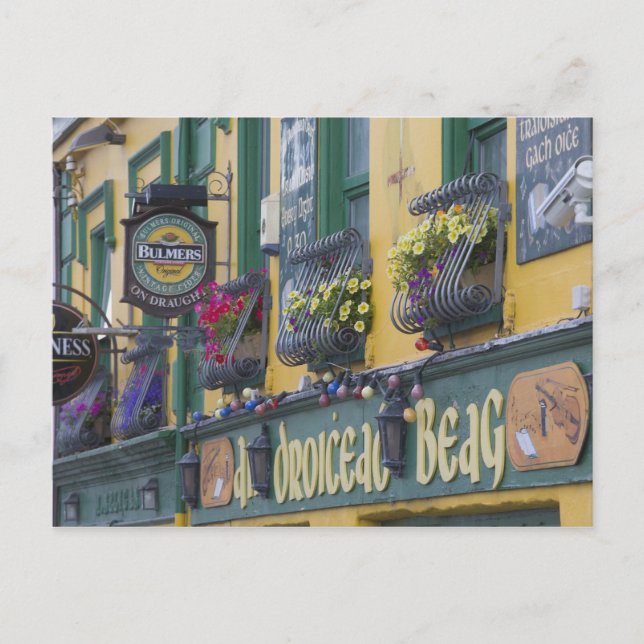 Pub, Dingle, Dinglehalvön, Kerry County, Vykort (Framsida)
