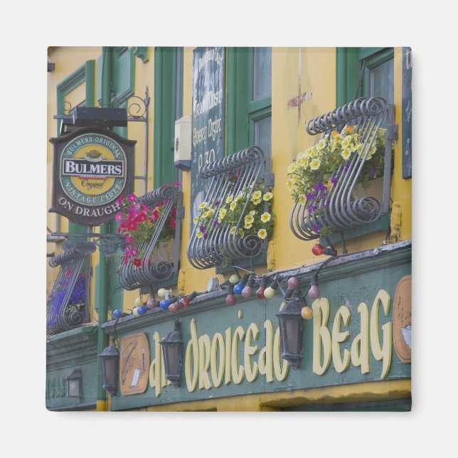 Pub, Dingle, Dinglehalvön, Kerry län, Magnet (Framsidan)