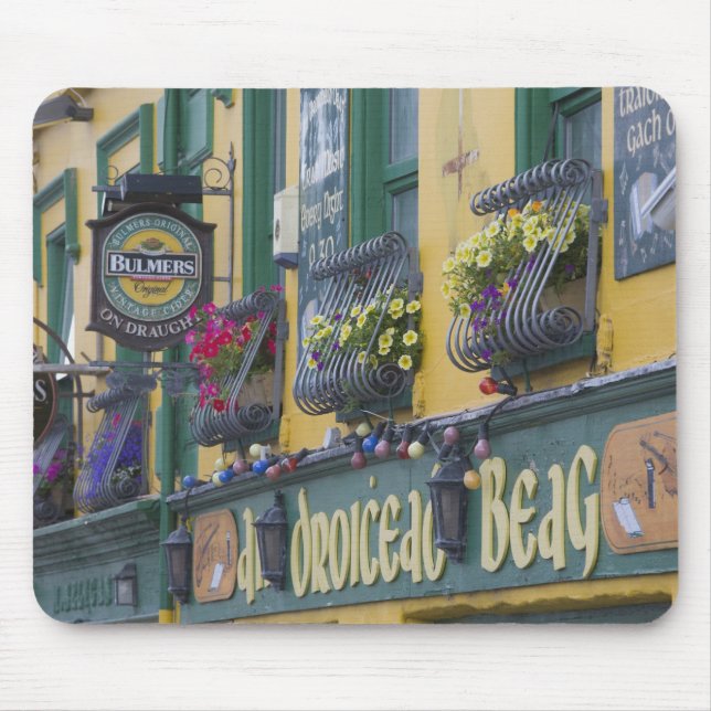 Pub, Dingle, Dinglehalvön, Kerry län, Musmatta (Framsidan)