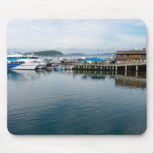 Pub Harbour i Maine Musmatta