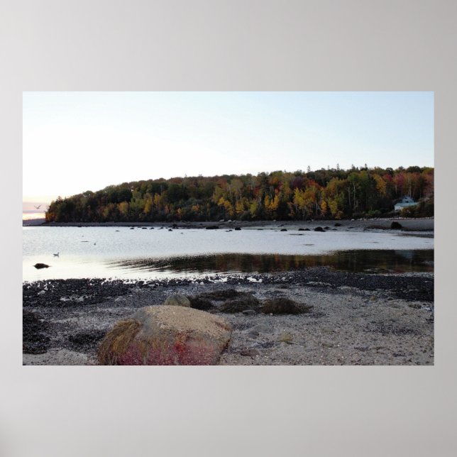 Pub Harbour Maine Waterscape Poster (Framsidan)