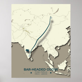 Pub-ledd gäsmigrering Karta - minimalistisk Poster