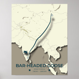 Pub-ledd gäsmigrering Karta - minimalistisk Poster