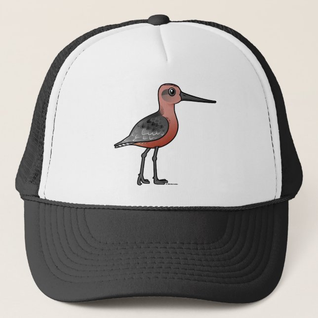 Pub-tailed Godwit Keps (Framsida)