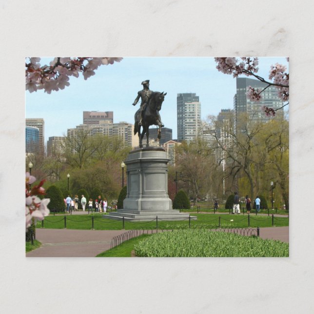 Public Garden Boston Massachusetts Postcard Helg Vykort (Framsida)