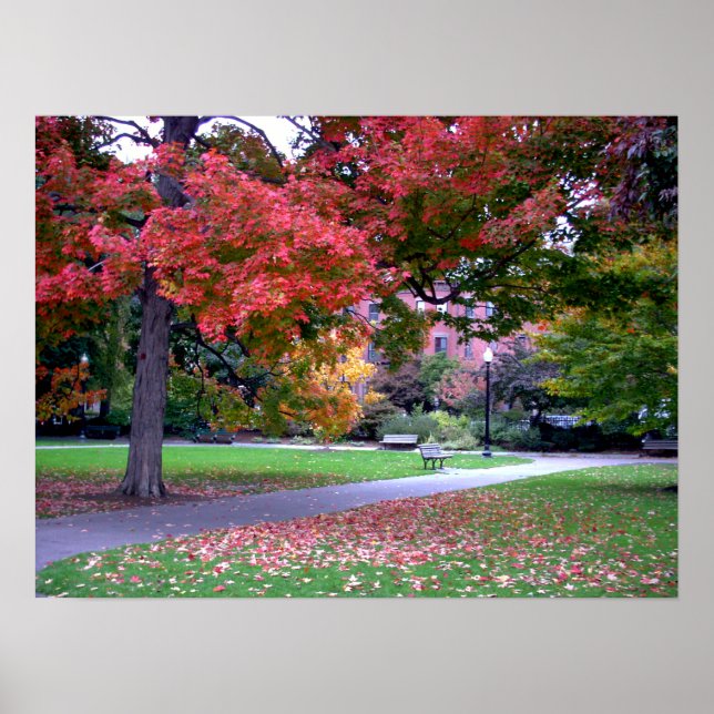 Public Garden Fall Poster (Framsidan)