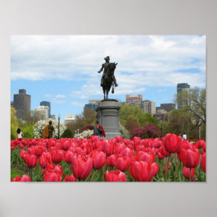 Public Garden Vår Poster