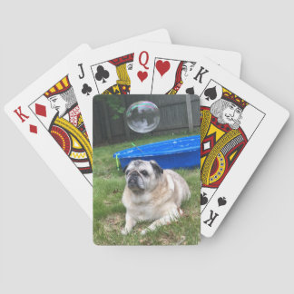 Publikationskort Casinokort