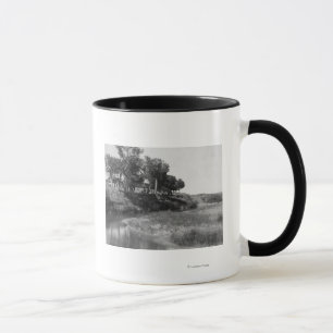 Pubutslagsplatsranchen på hattbäck fotograferar mugg
