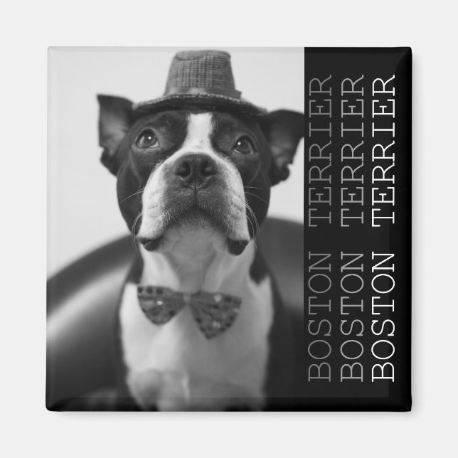 Pucca Magnets B Magnet (Framsidan)